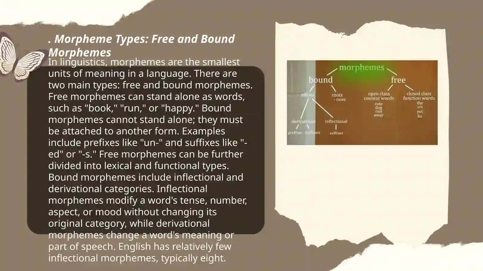 Morphology and morphems 3