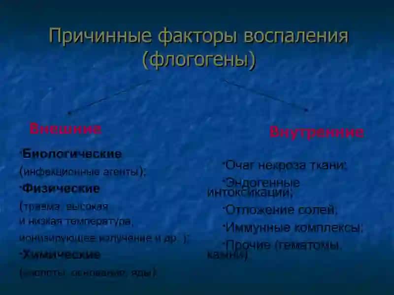 Патофизиология воспаления 3