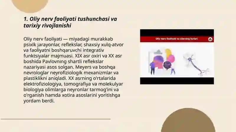 Oliy nerv faoliyati 3