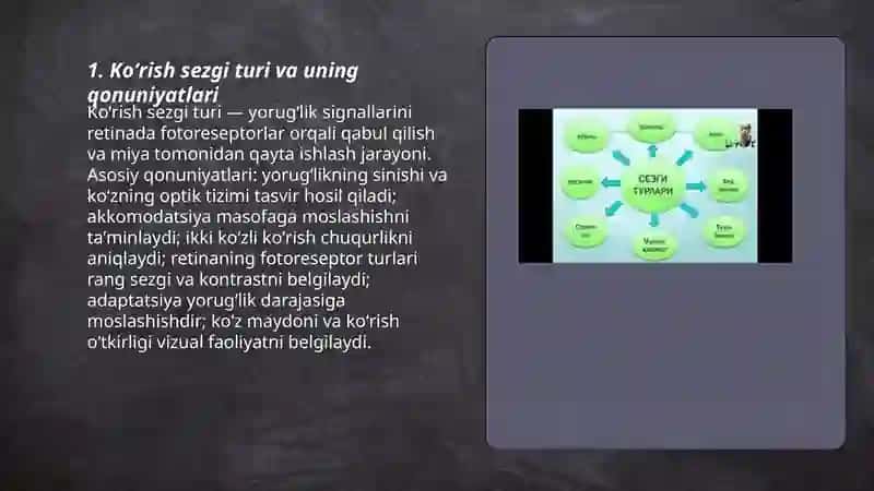 Sezgi turlari va uning qonuniyatlari 3