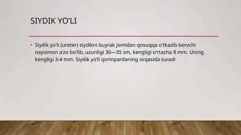 Siydik yo’li va siydik pufagi 3