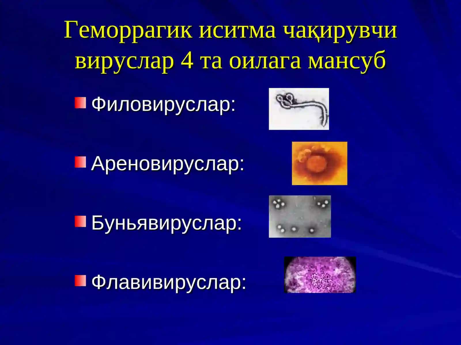Қрим-Конго геморрагик иситмаси 3