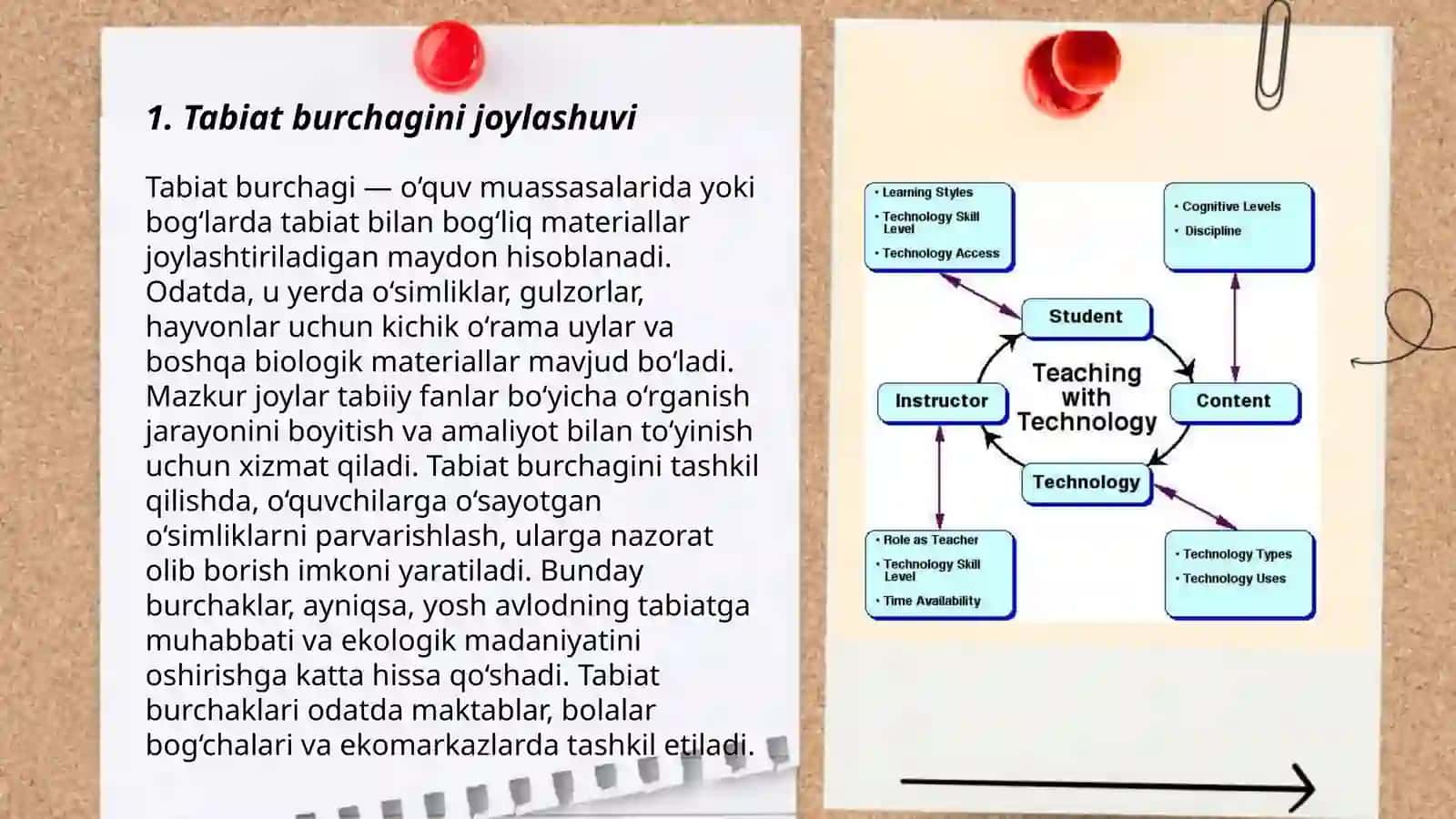 Tabiat burchagini tashkil etish 3