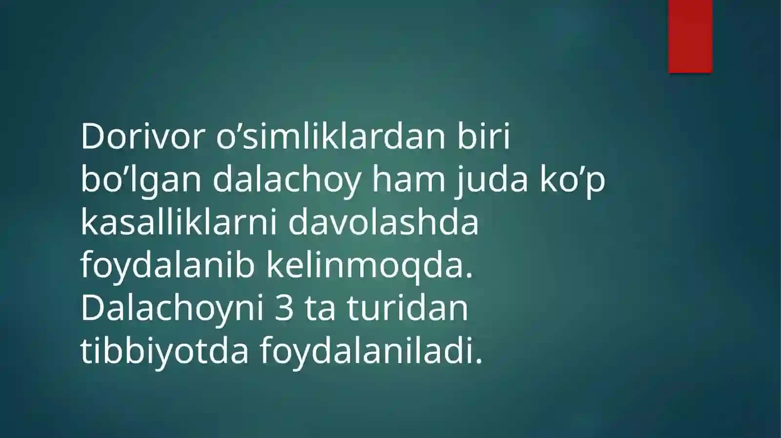 Dalachoy 3