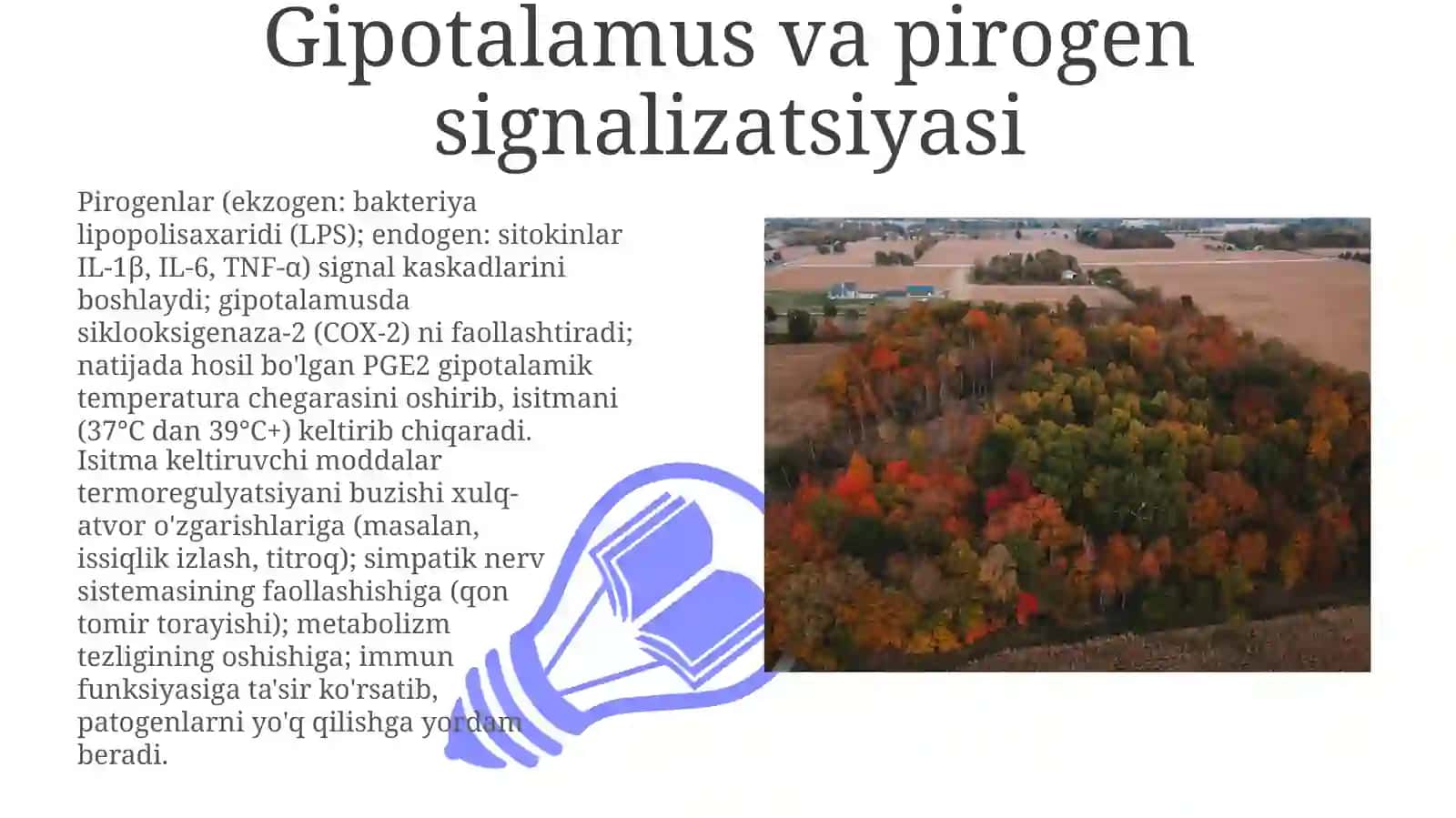 Pirogenmoddalarningtermoregulyatsiyajarayonidagiahamiyati 3