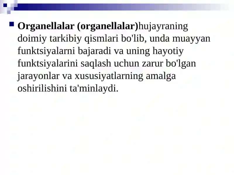 Mitoxondriya 3