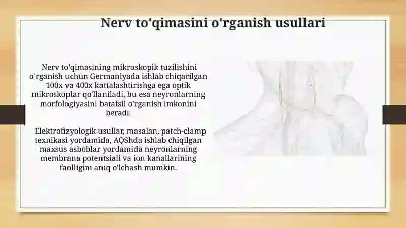 Nerv toqimasi 3