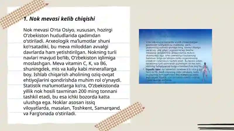 Nok mevasi haqida tushuncha 3