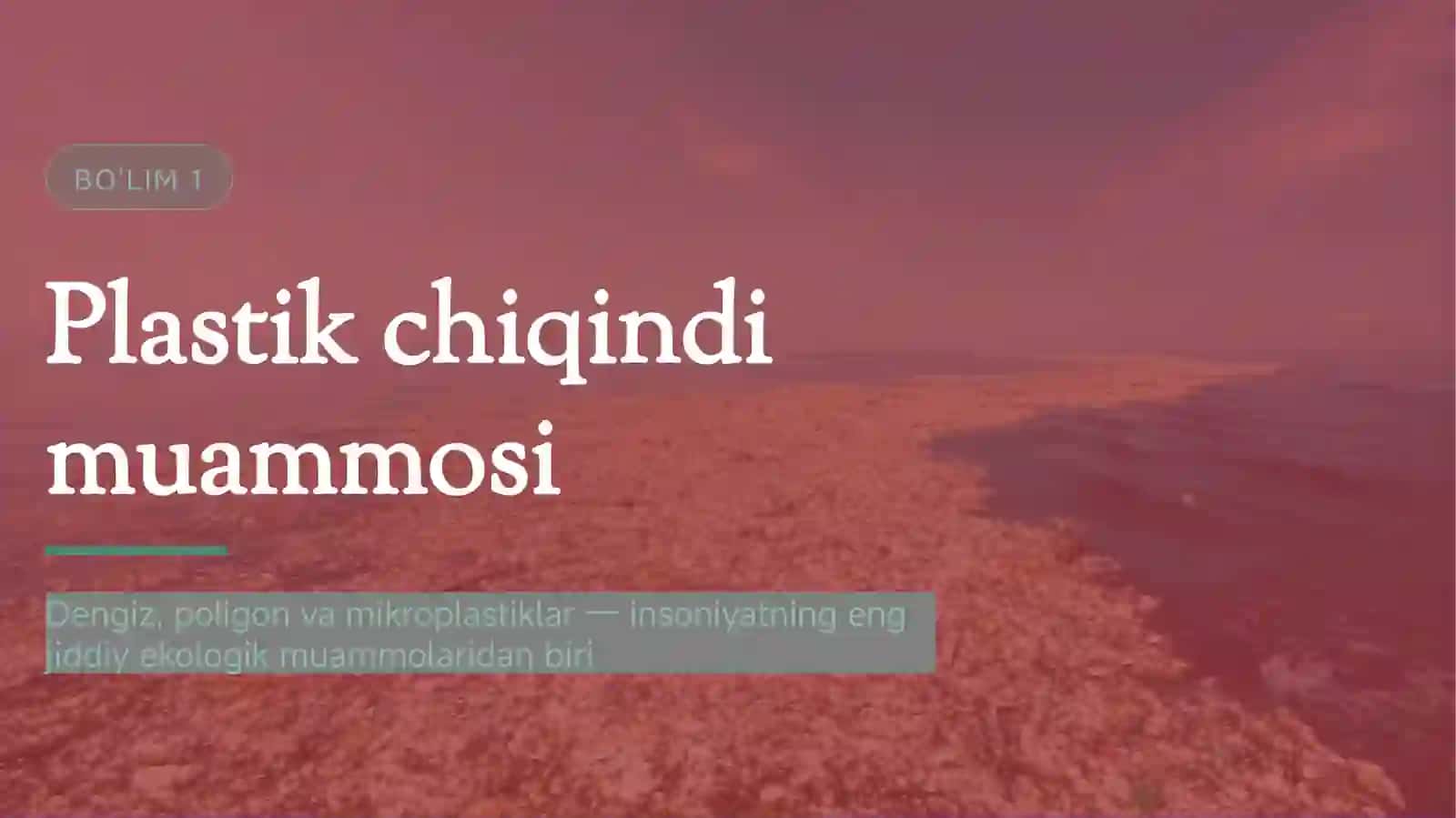 Plastik chiqindi muammosi 3