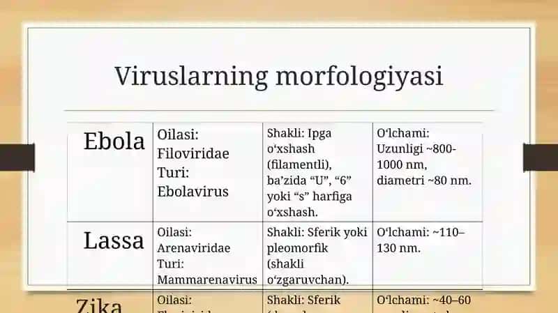 Ebola, Lassa, Zikaviruslarining Kasallik Patogenezi 3