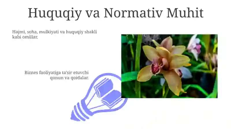 Turli firma turlarining asosiy xususiyatlari 3