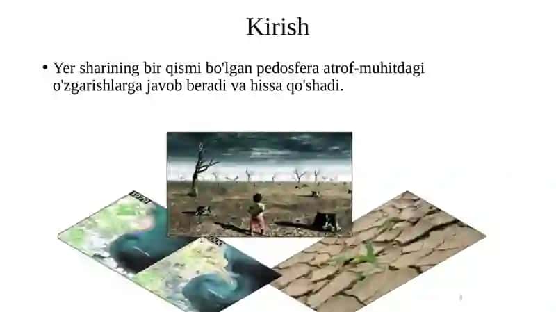 RAQAMLI TUPROQ KARTOGRAFIYASI 3