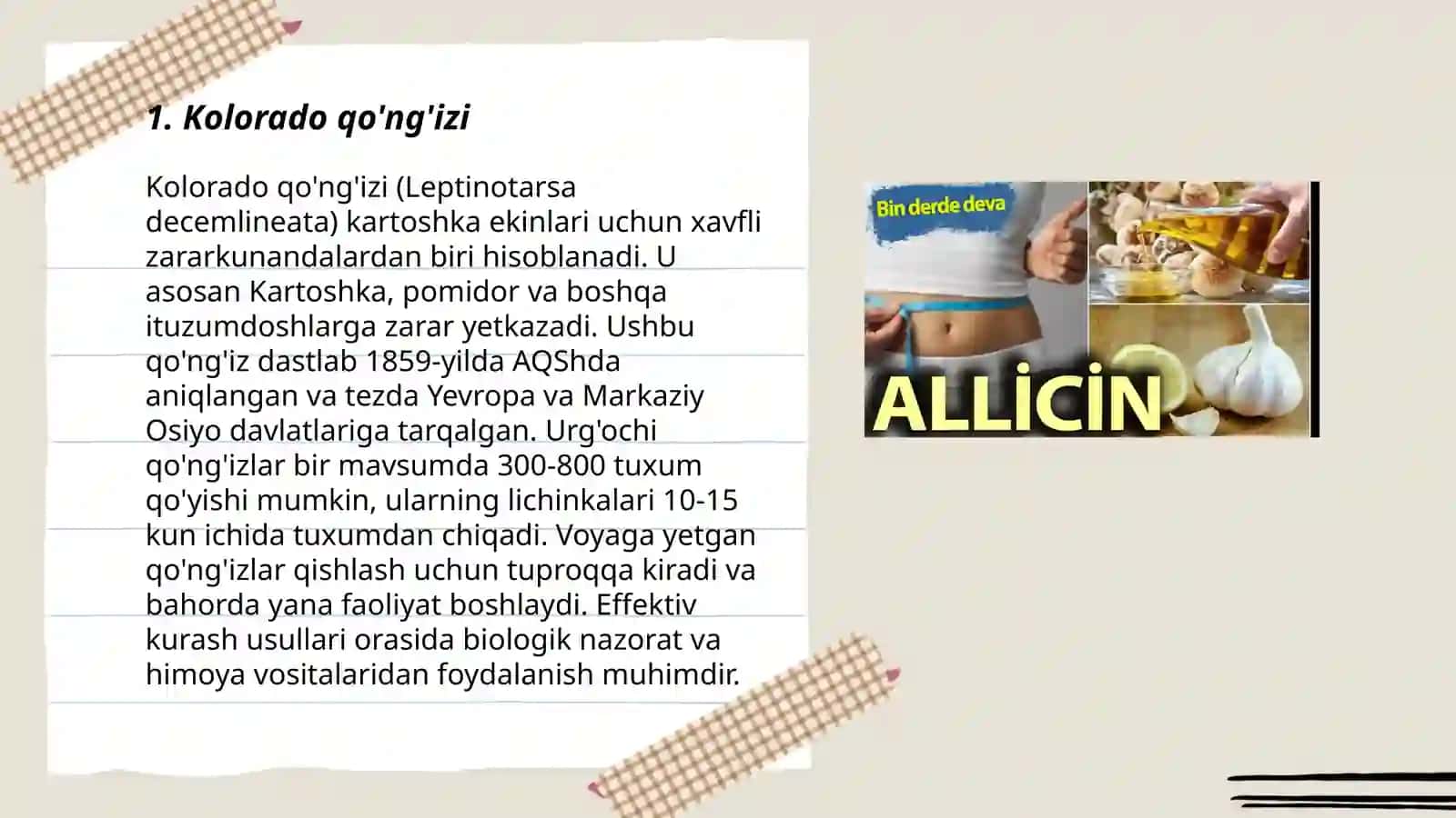 Kolorado qo'ng'izi 3