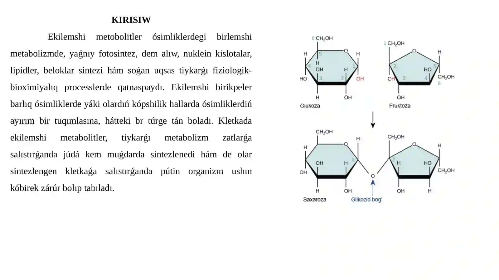 Kelip shıǵıwı ekilemshi bolǵan zatlar 3