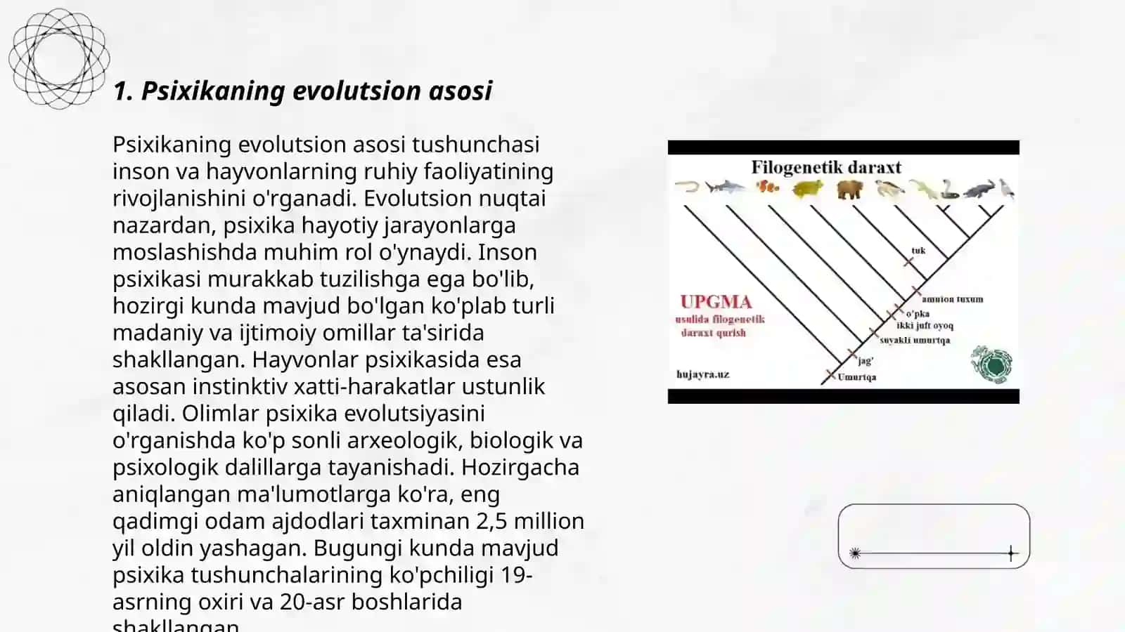 Psixikaning filogenetik taraqqiyoti 3