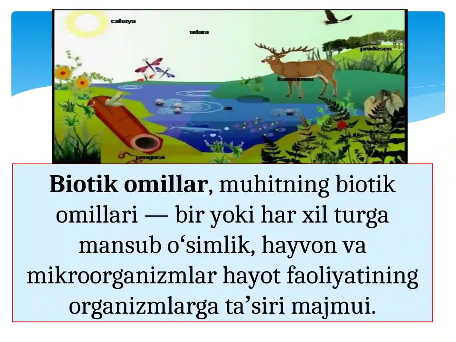 BIOTIK VA ANTROPOGEN OMILLAR 3