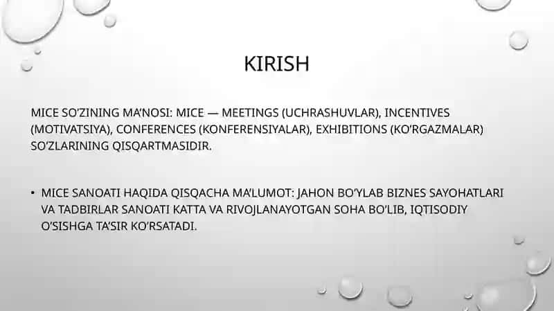MICE (Meetings, Incentives, Conferences, and Exhibitions) 3