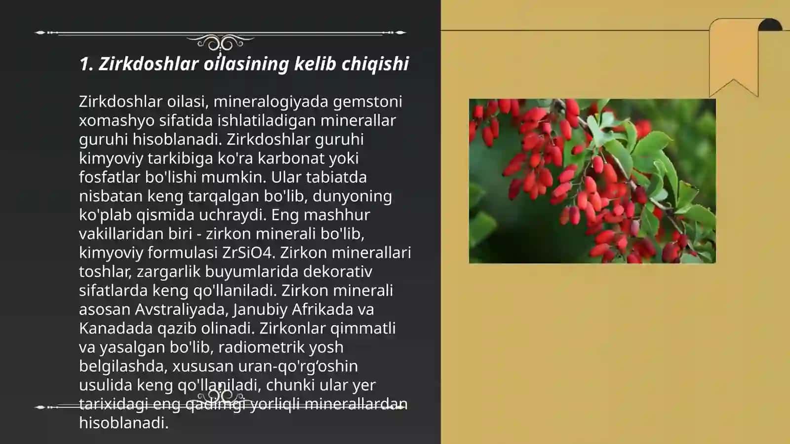 Zirkdoshlar oilasi haqida 3