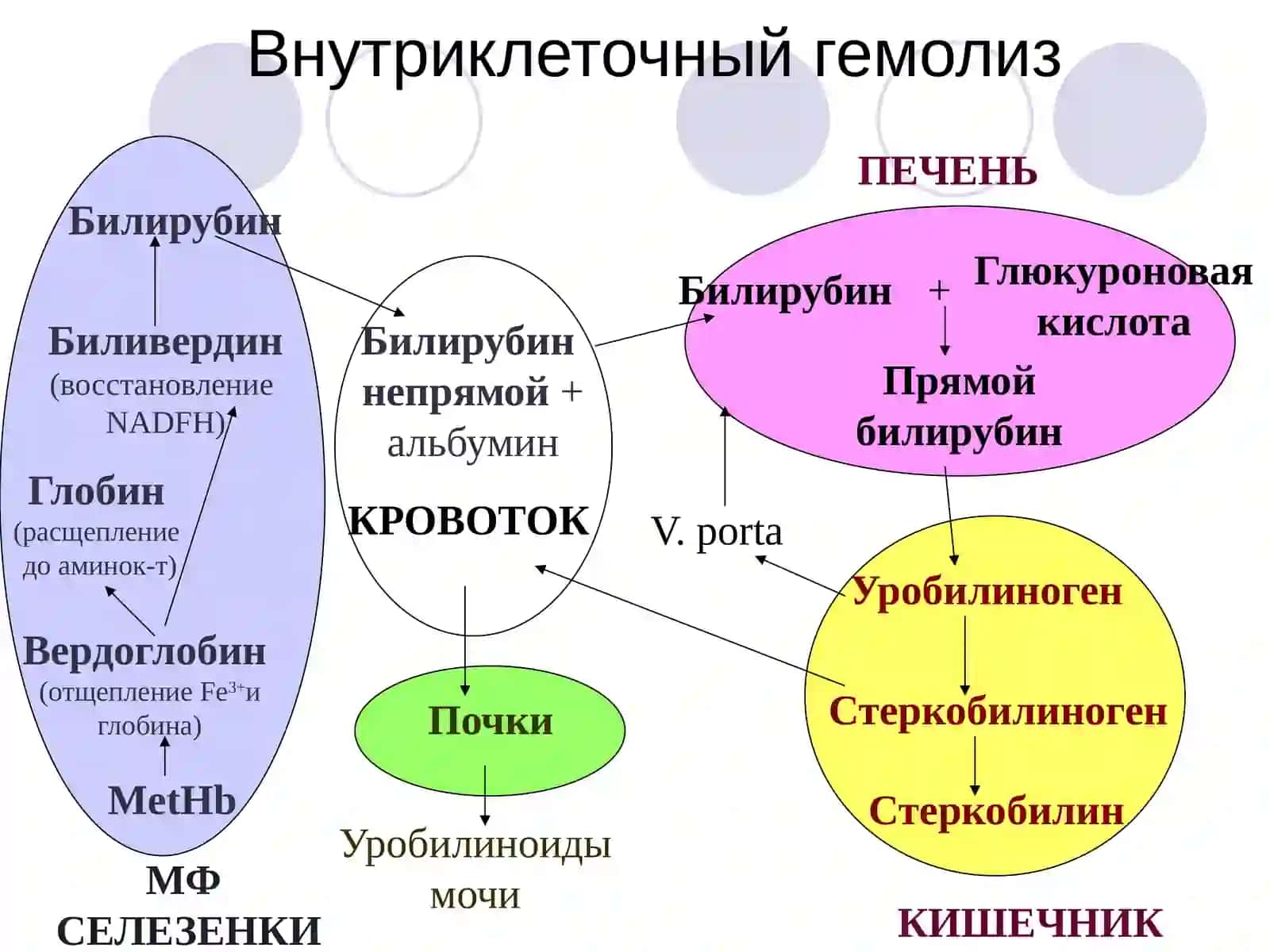 Гемолитические анемии 3