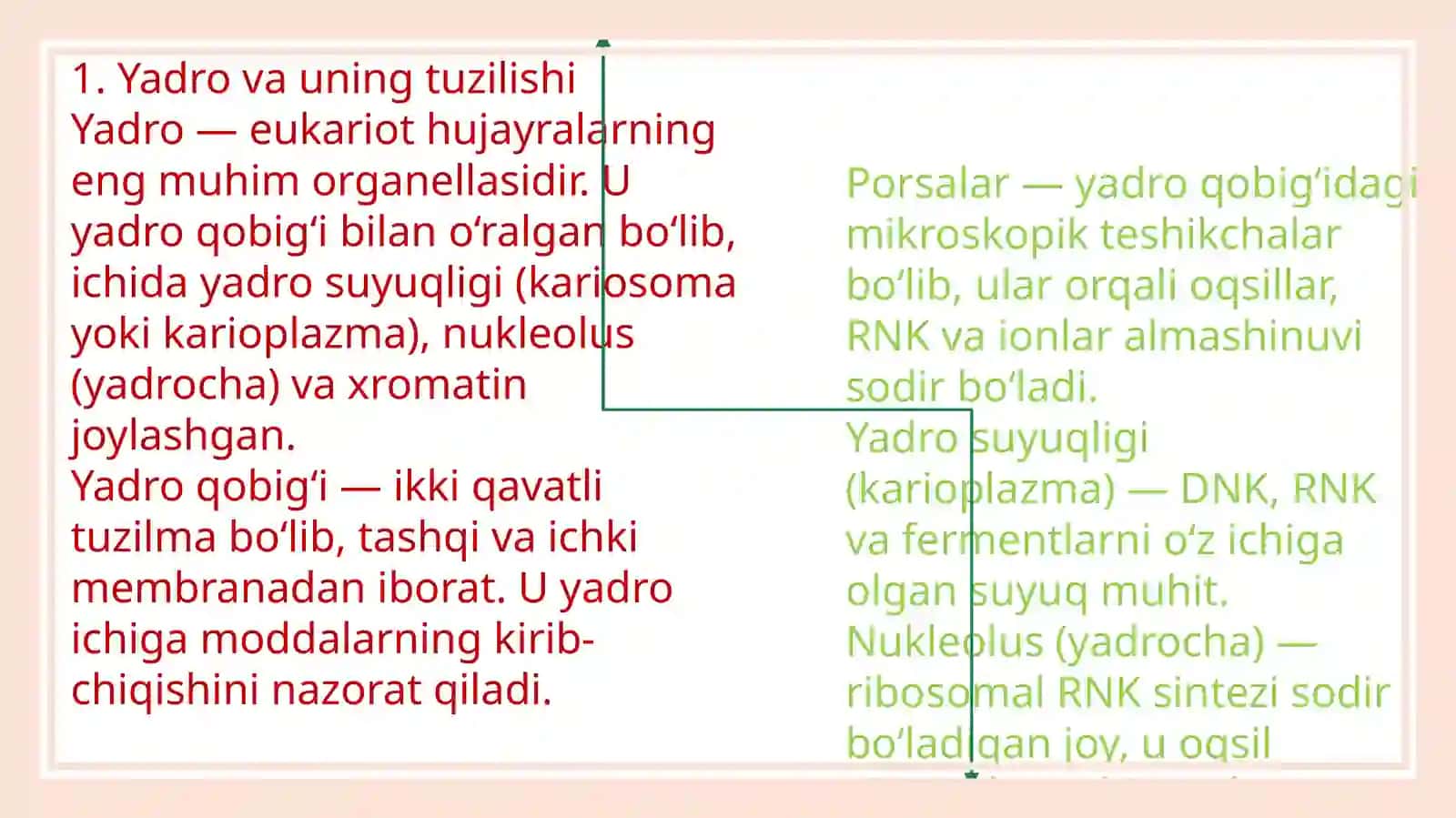Yadro, xromosoma, uning tuzilishi va tarkibi 3