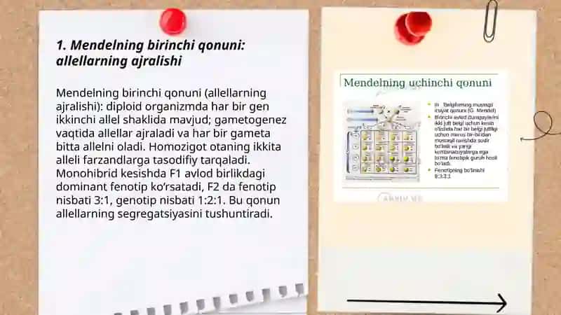 Mendelning 1 2 3 qonunlari 3