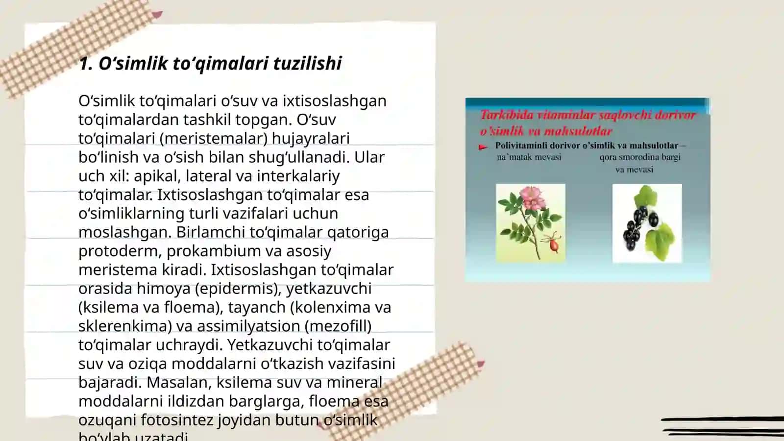 Oʻsimliklar morfologiyasining vazifalari 3