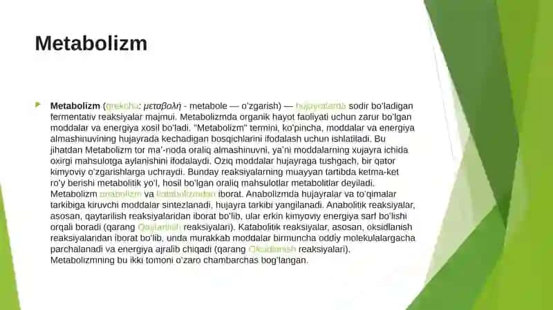 Metabolizm 3