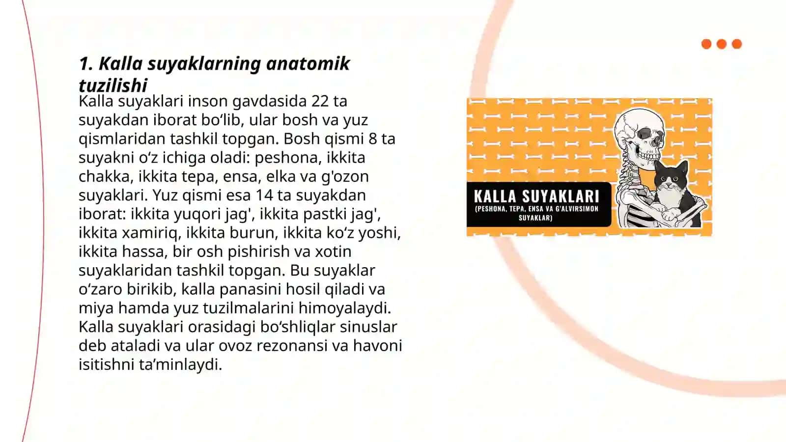 Kalla suyaklari topografiyasi 3