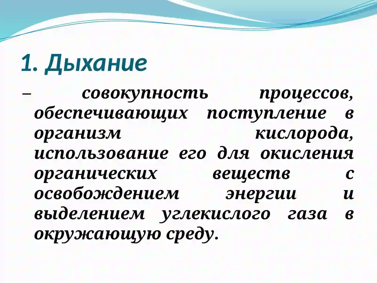 Патология внешнего дыхания 3