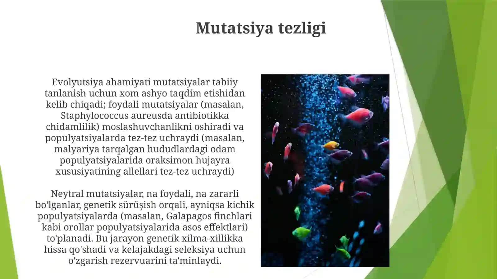 Genmutatsiyalarining evolyutsionahamiyati 3