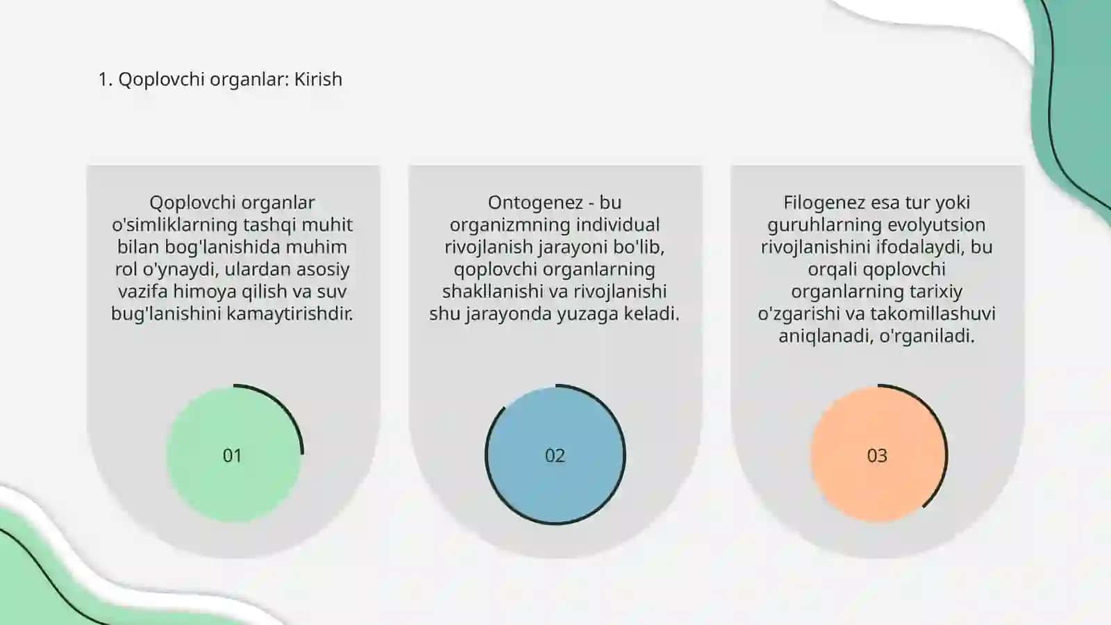 Qoplovchi organlar onto-filogenezi 3