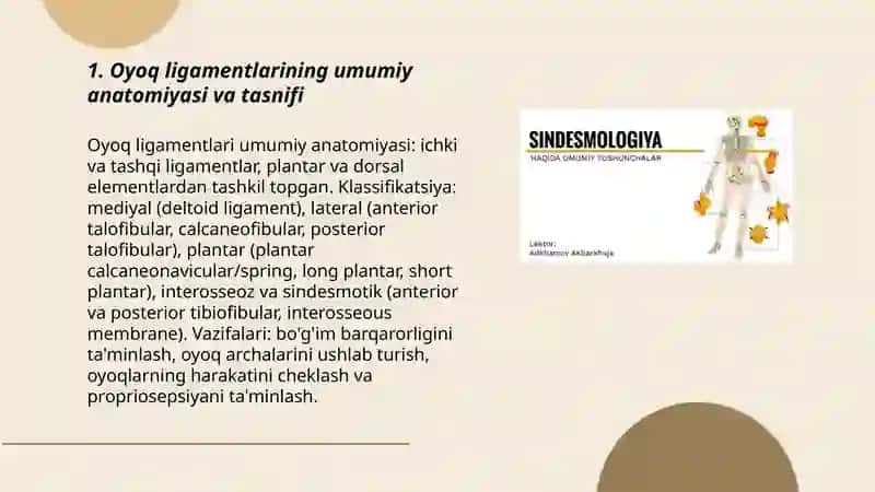 Sindesmologiya oyoq va qol soxalari 3