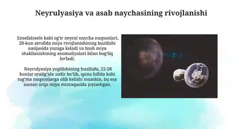 Odam embriogenezining qaltis davrlari 3