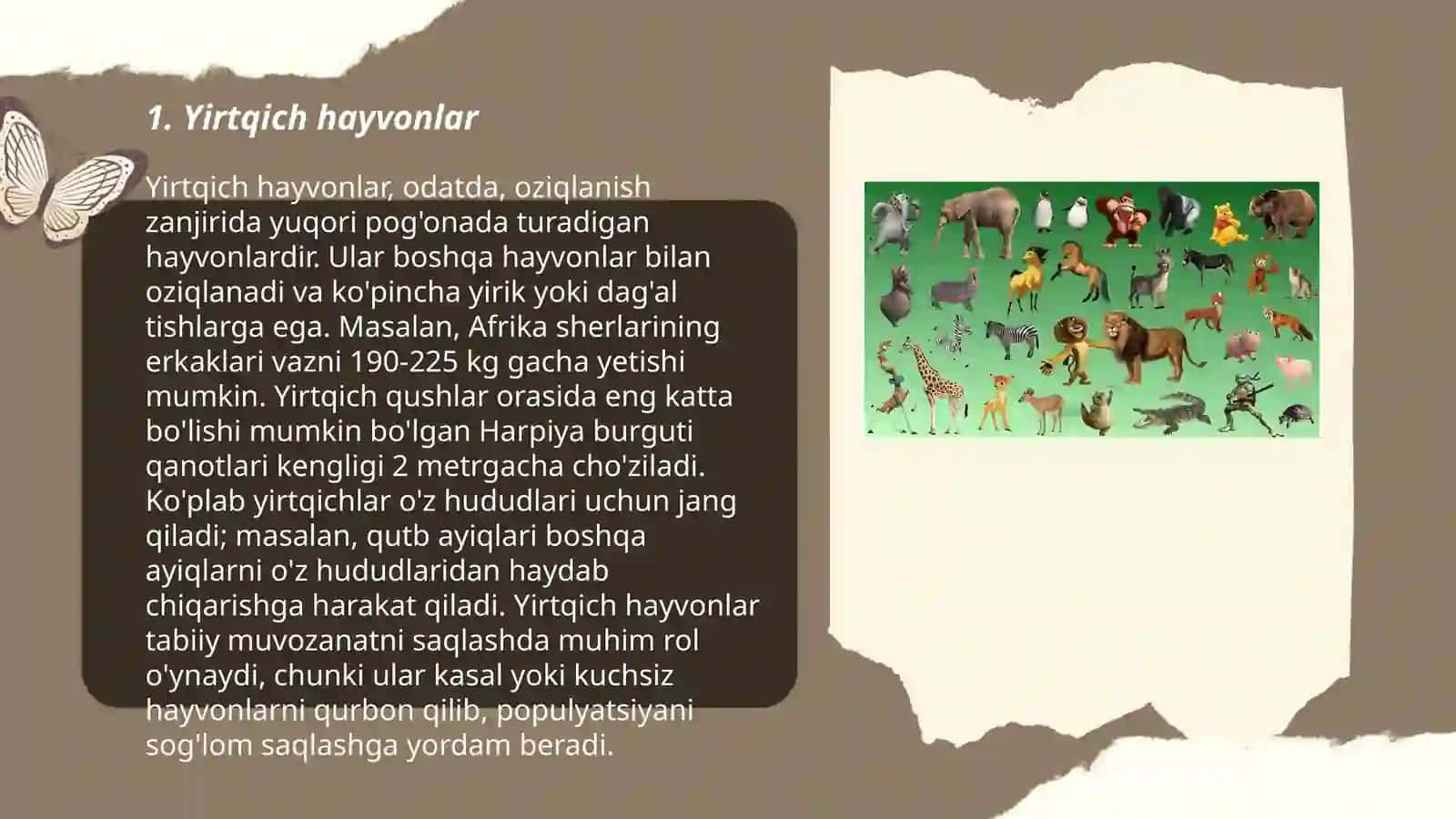 Yirtqich hayvonlar 3