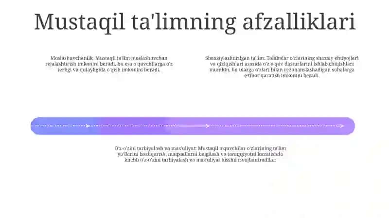 Mustaqil Ta'Lim Va Uni Tashkil Etish Metodikasi 3