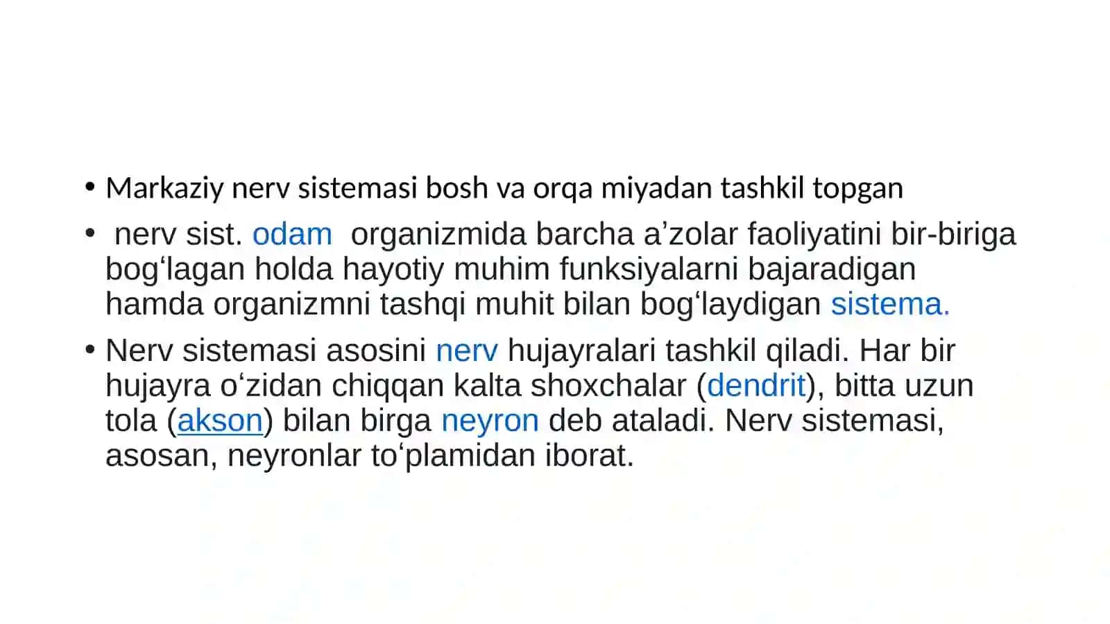 Asab tizimi tuzilishi 3