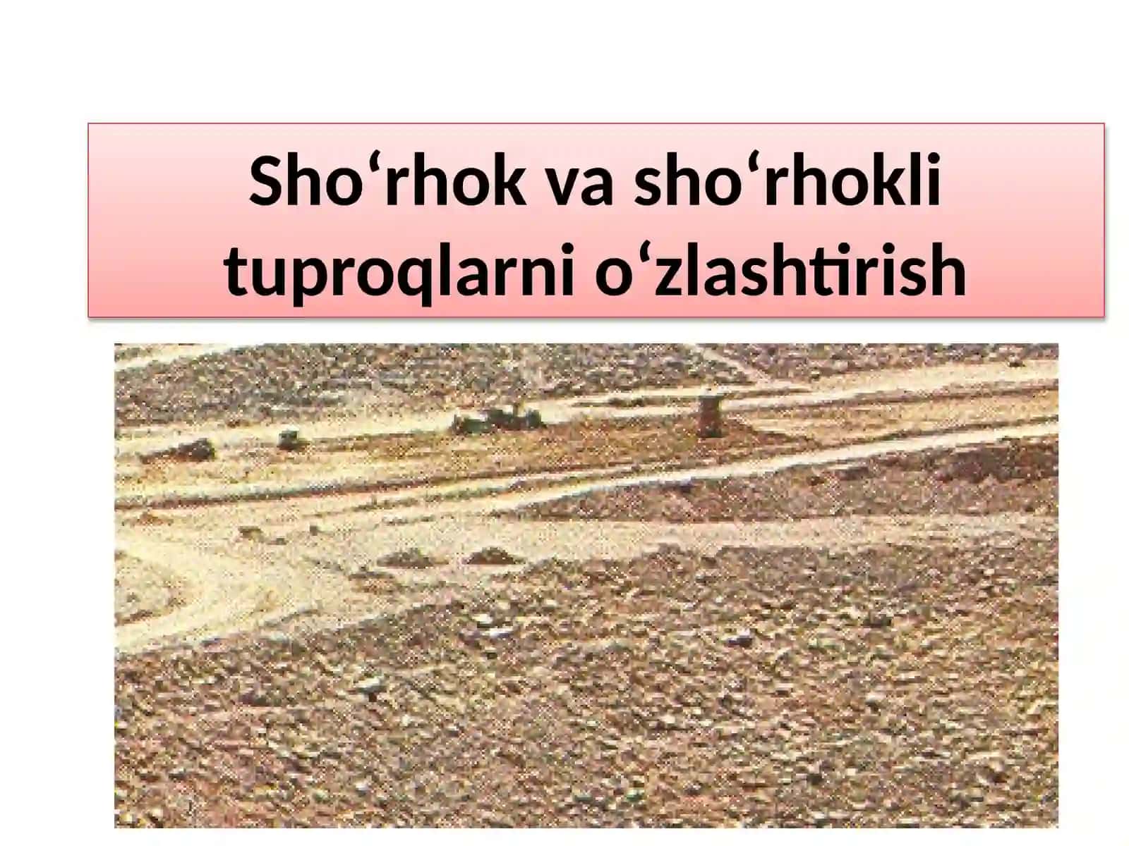 Sho‘rhok va sho‘rhokli, sho‘rtob va sho‘rtobli, taqirli tuproqlar va qumliklarni o‘zlashtirish 3