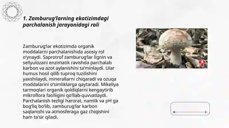 Zamburugʻlarning ahamiyati 3