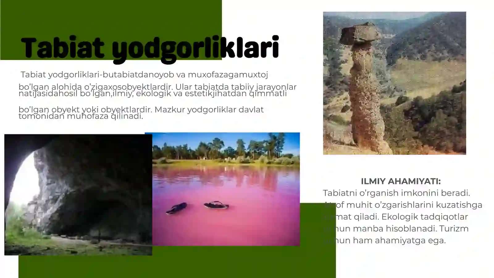 TABIAT YODGORLIKLARI. BOTANIK YODGORLIKLARl 3