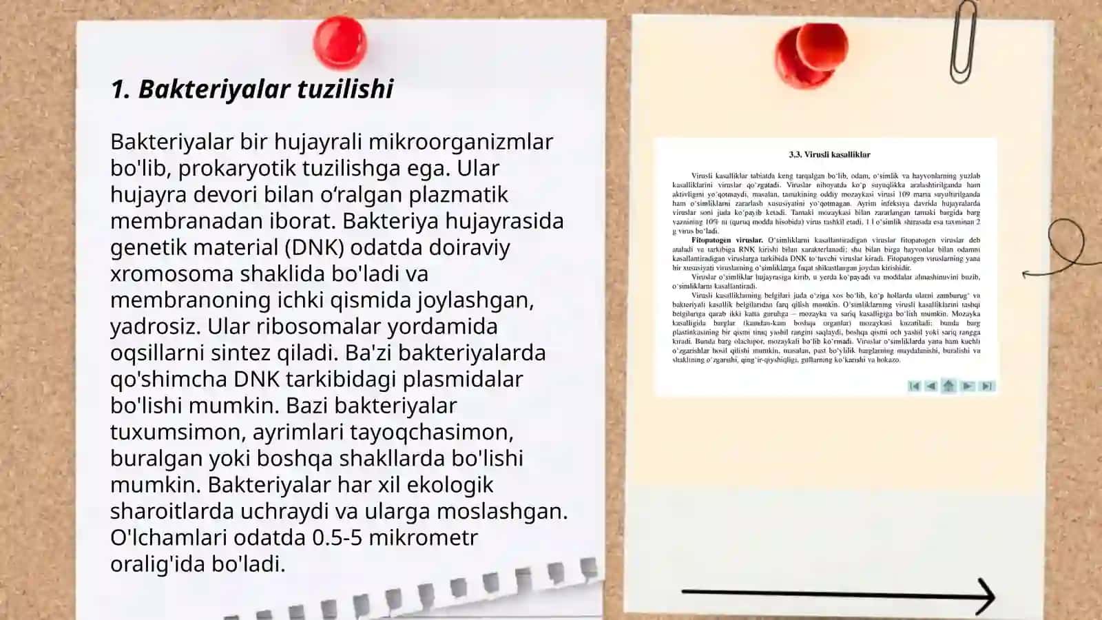 Bakteriyalar zamburugʻ va viruslar 3