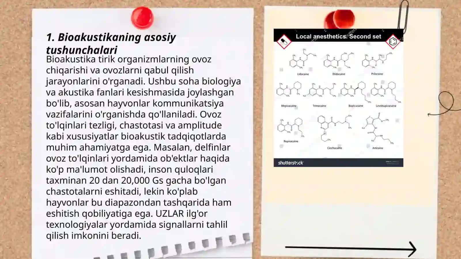 Bioakustika asoslari 3