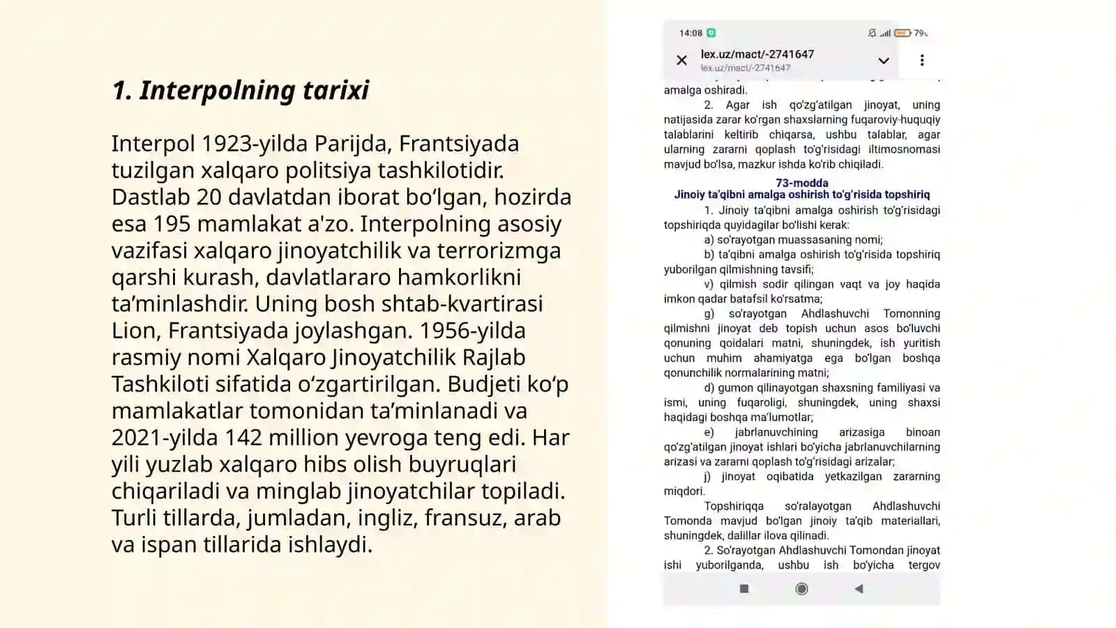 Interpol haqida 3