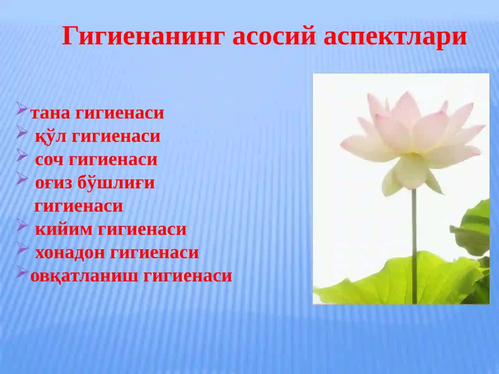 ЎҚУВЧИЛАРНИ ГИГИЕНИК ТАРБИЯЛАШ 3