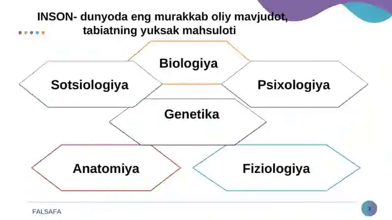 Falsafiy antropologiya(Insоn falsafasi) 3