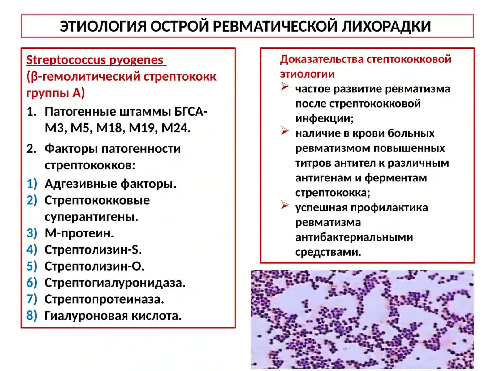 Острая ревматическая лихорадка, определение 3