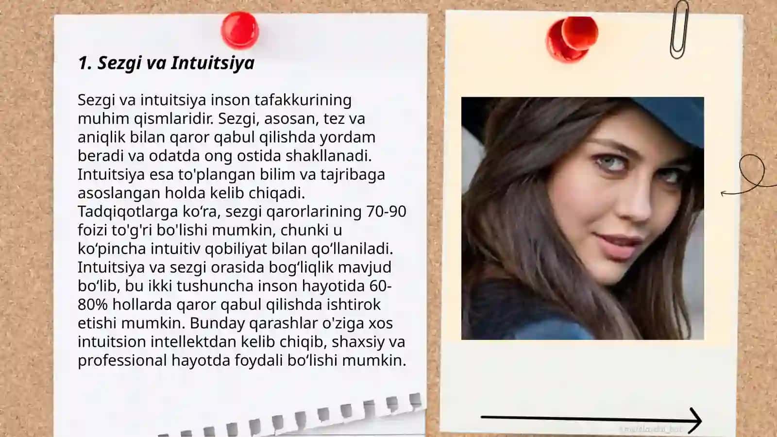 Sezgi 3