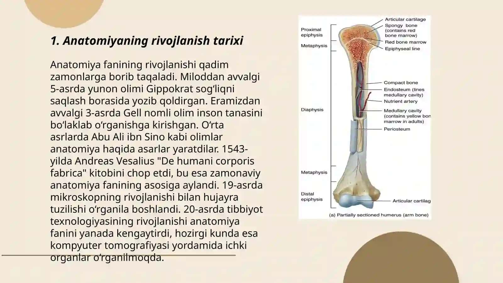 Anatomiya fanining rivojlanish tarixi 3