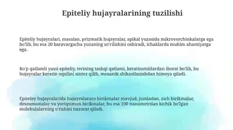 Hujayra epitelyisi 3