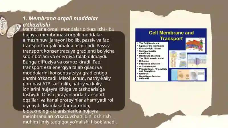 Membrana transporti 3