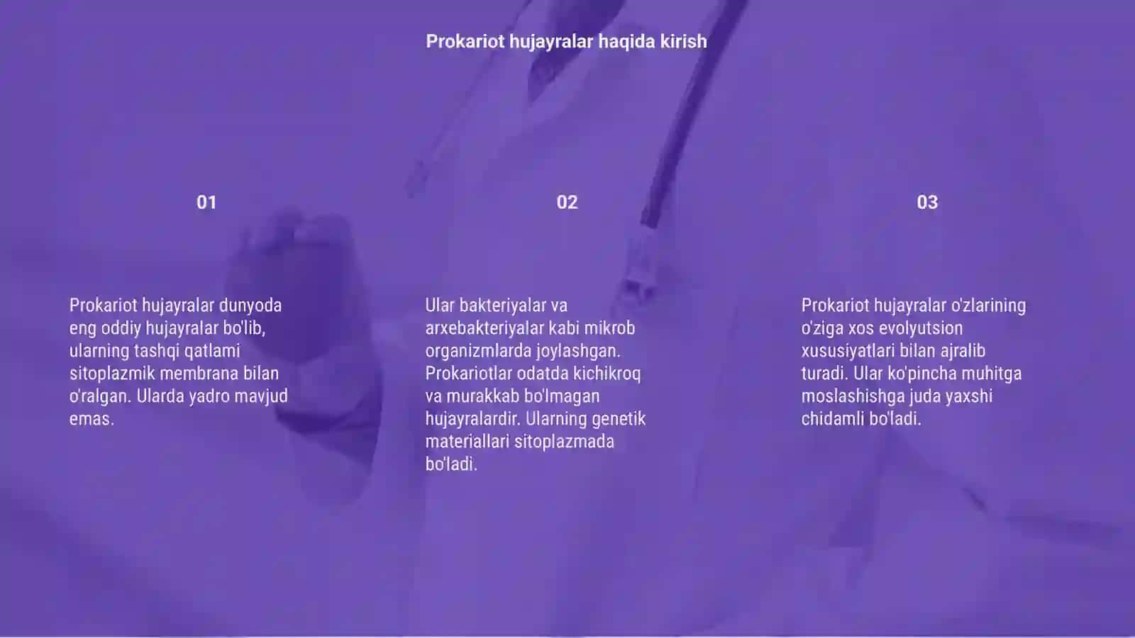 Prokariot hujayra mavzusida 3